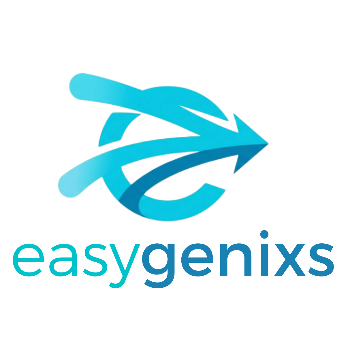 EasyGenix